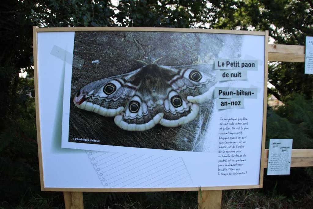 La Petite Bretonne Βίλα Plounerin Εξωτερικό φωτογραφία